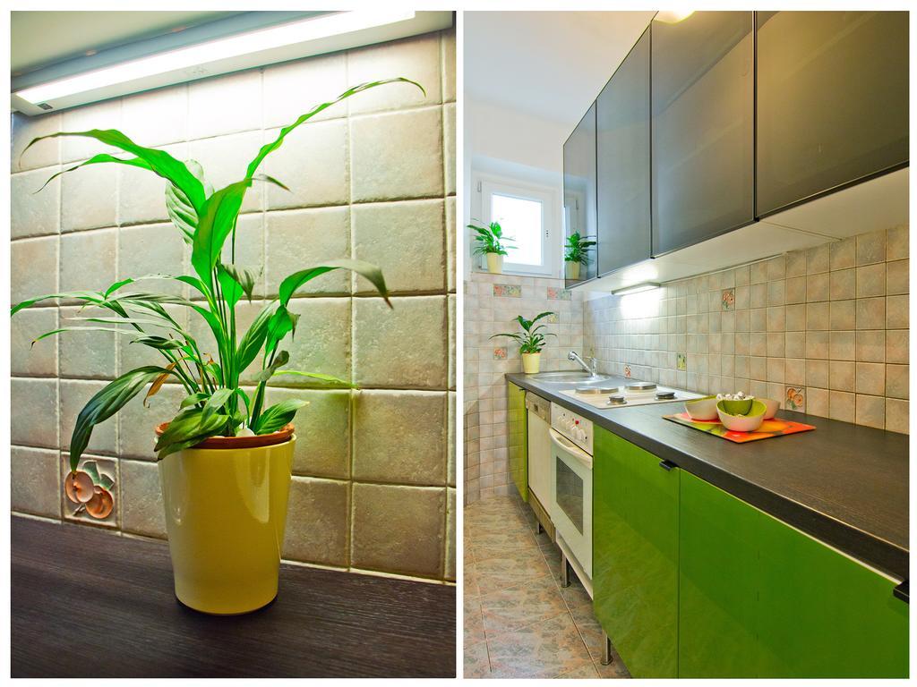 Apartment Lemon Tree
